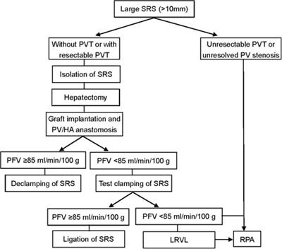 Hemodynamic alterations with large spontaneous splenorenal shunt ligation during adult deceased donor liver transplantation